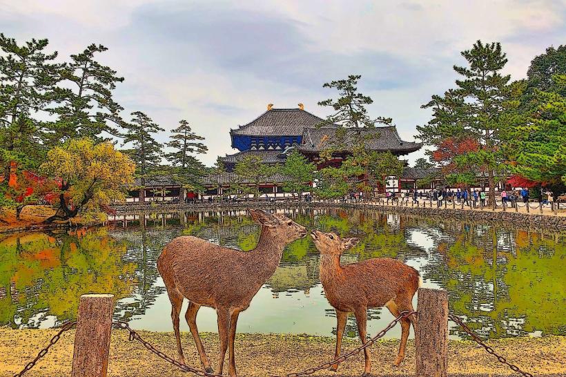 Nara Park 奈良公園 Нара Кьоен е един от най известните