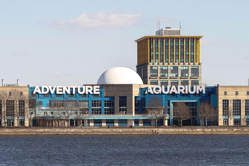Adventure Aquarium