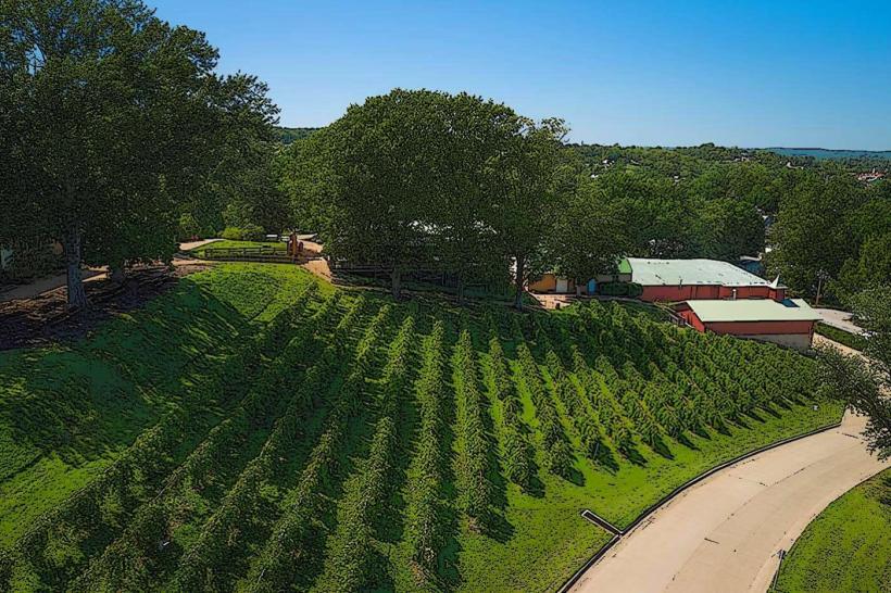 Hermann Wine Trail