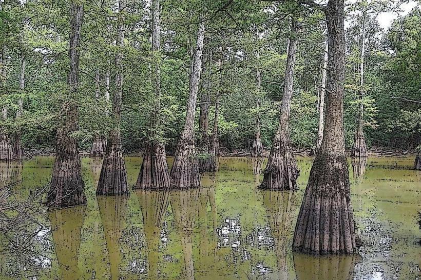 Hatchie National Wildlife Refuge