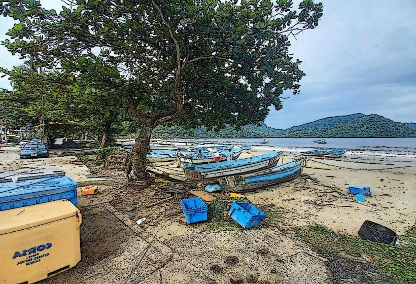 Toco Fishing Village