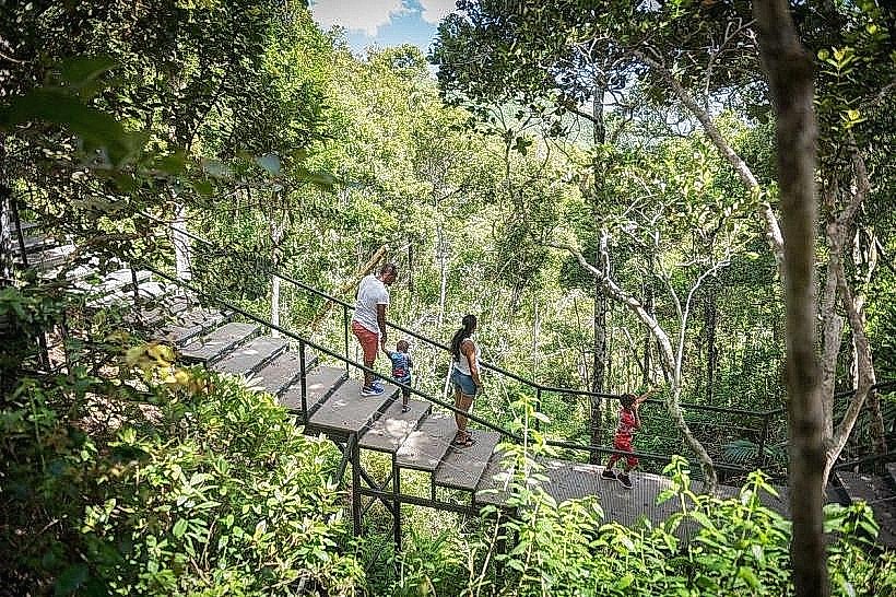 Ebony Forest Reserve