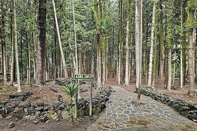 Bras d'Eau National Park