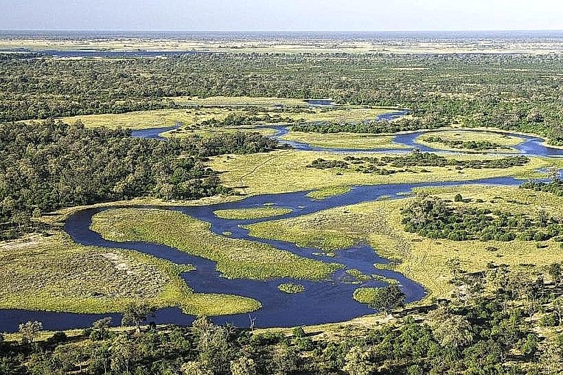Savuti Marsh