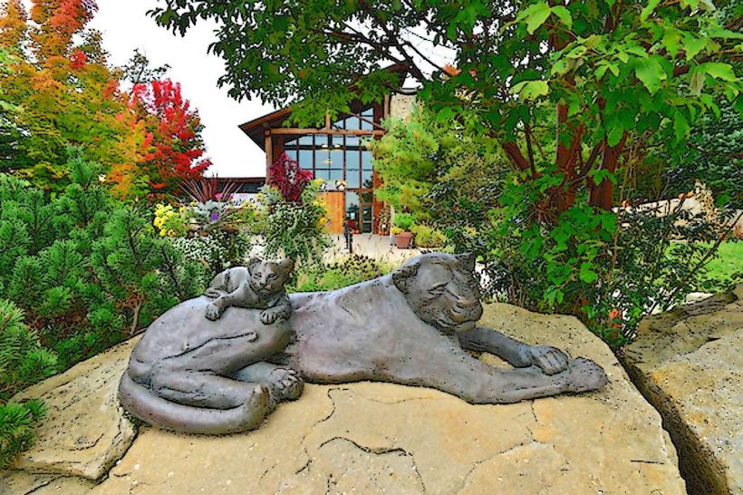 Akron Zoo