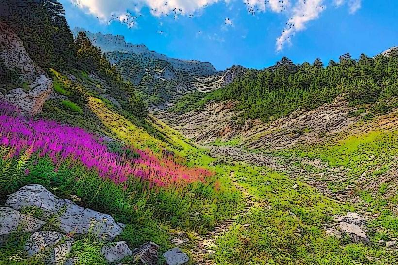 Национален парк Mount Olympus