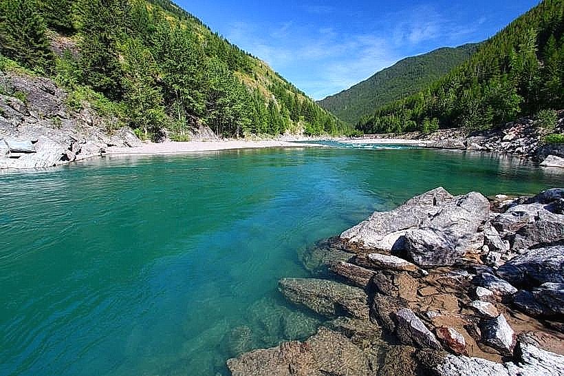 Flathead National Forest