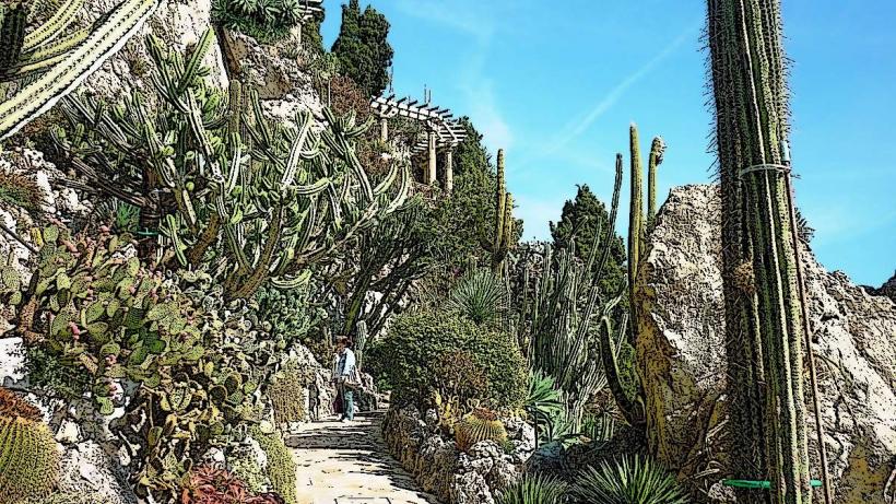 Jardin Exotique de Monaco