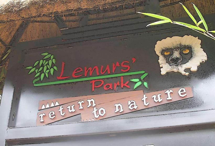 Lemur Park