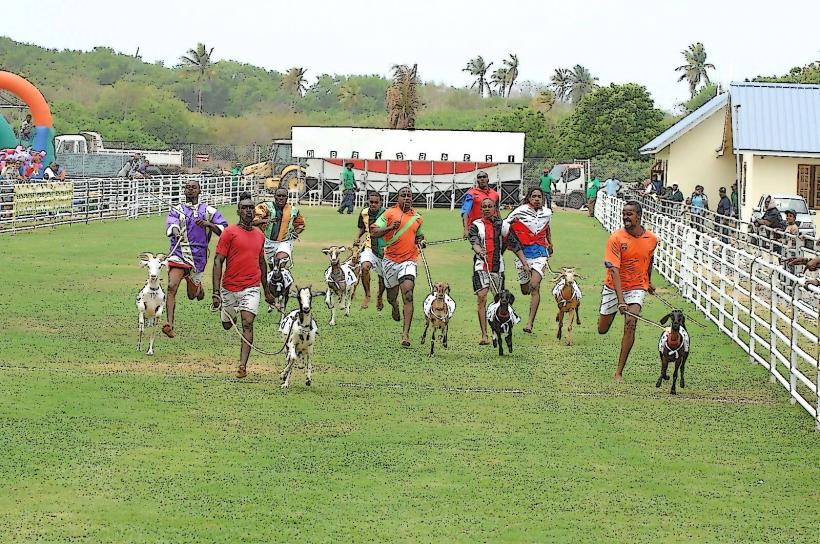 Goat Race Festival Grounds