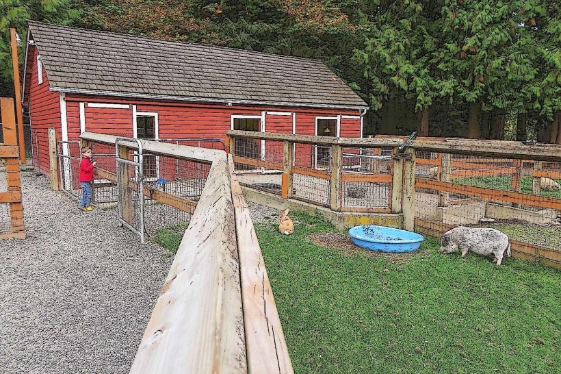 Farrel-McWhirter Farm Park