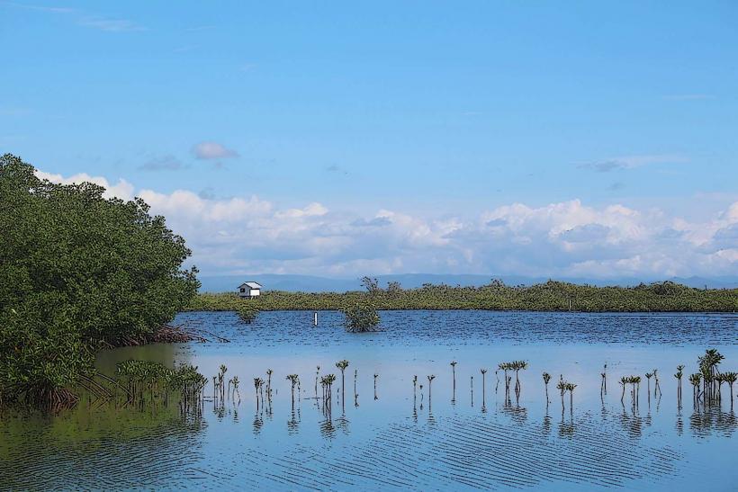 Placencia Lagoon