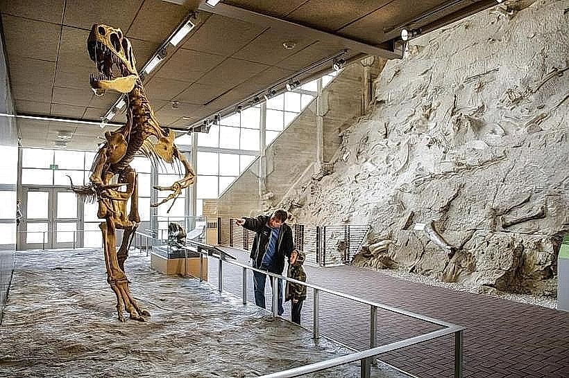 Quarry Exhibit Hall
