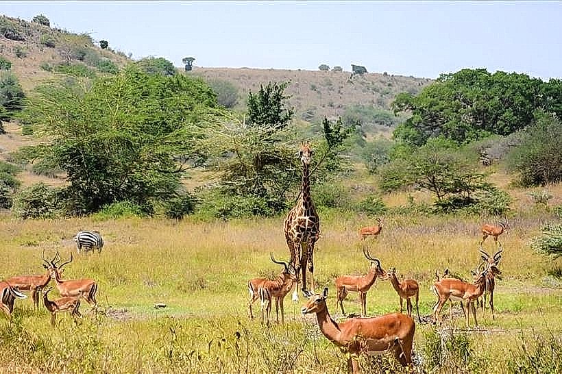 Gaborone Game Reserve