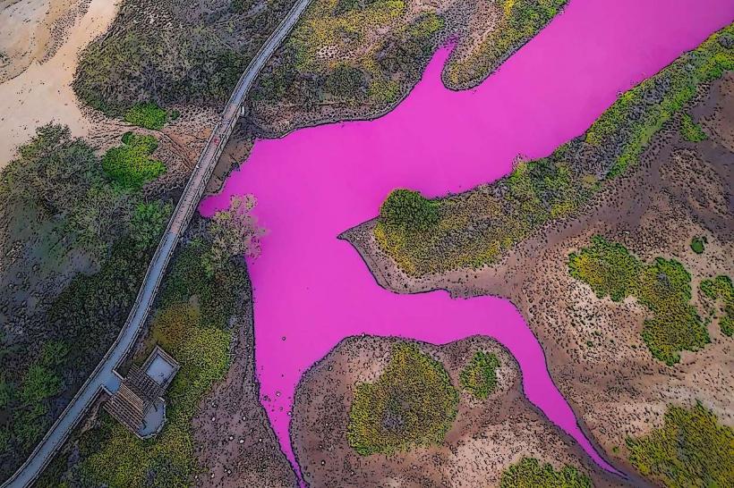 Национален резерват за диви животни Kealia Pond