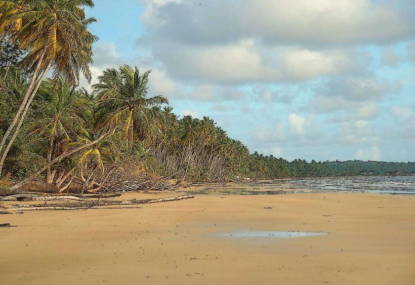 Mayaro Beach