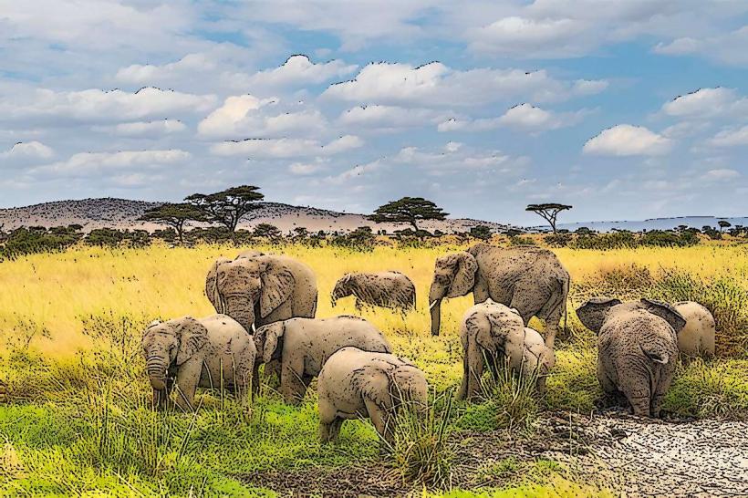 Nyerere National Park Selous Nyerere National Park е един от