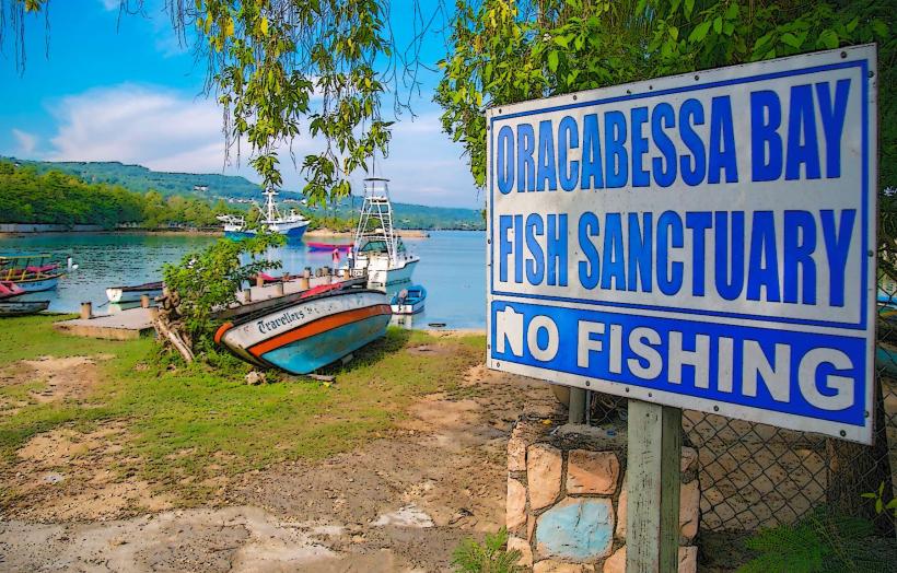 Светилище на риби Oracabessa Bay