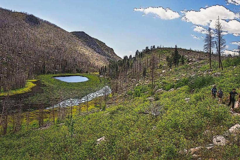 Cub Lake Trail