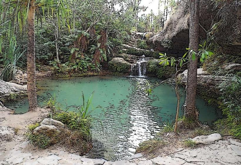 Piscine Naturelle