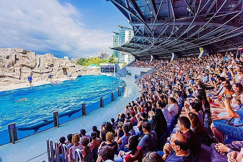 Batumi Dolphinarium