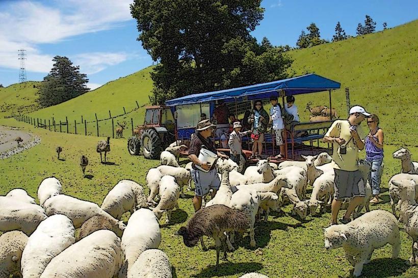 Agrodome