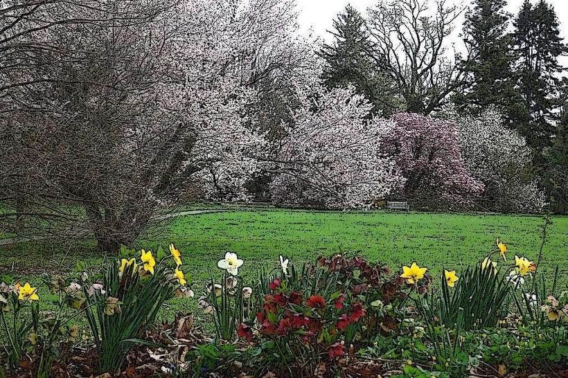 Marquand Park