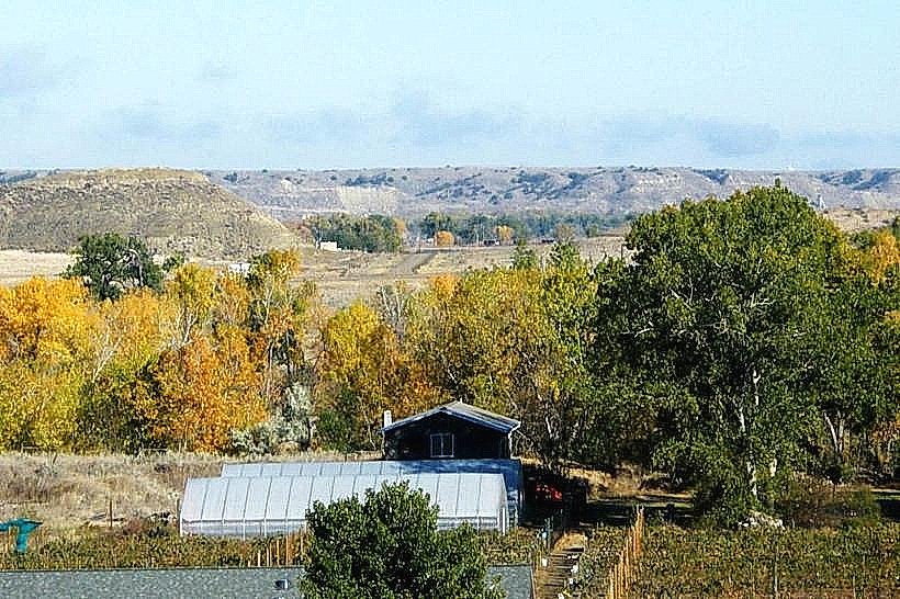 Tongue River Winery