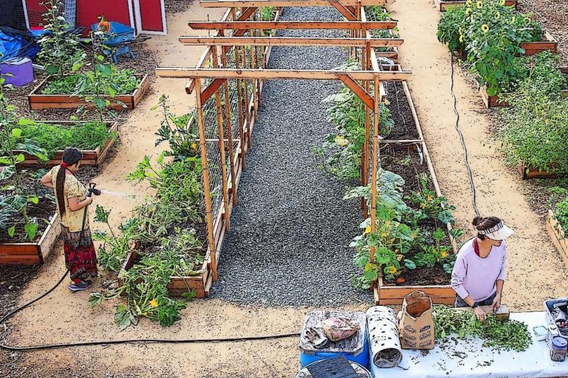 Lafayette Community Garden