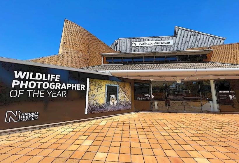 Waikato Museum