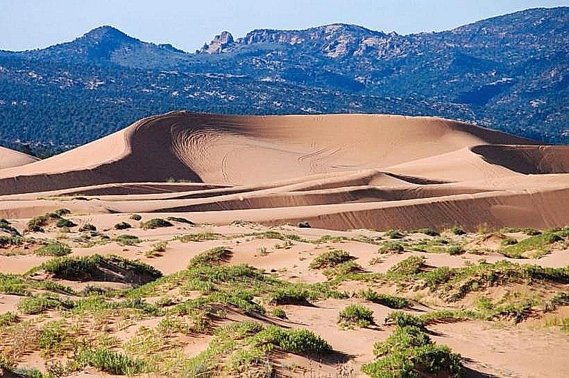 Coral Pink Sand Dunes State Park