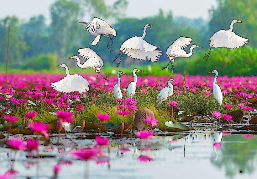 Nong Han Lake