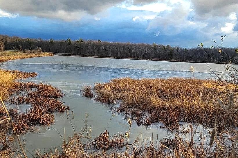 Dead Creek Wildlife Management Area