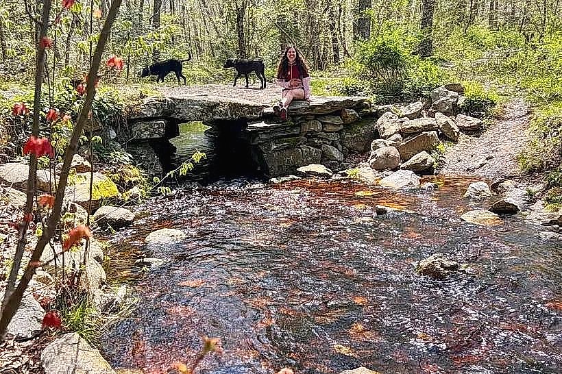 Weetamoo Woods