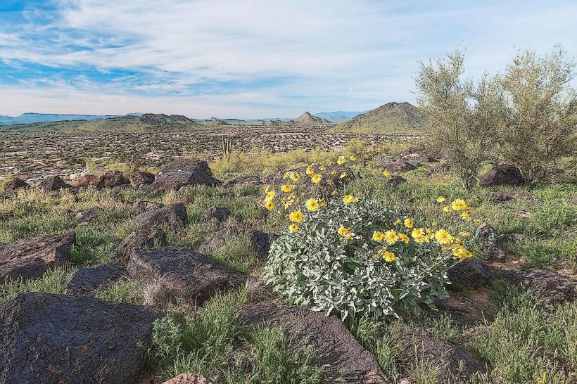 Thunderbird Conservation Park