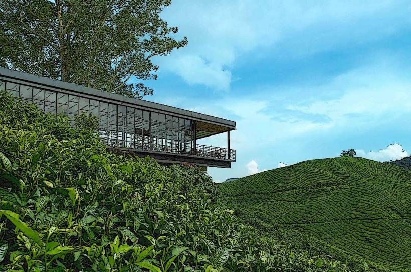 Boh Tea Plantation е една от най известните и големи