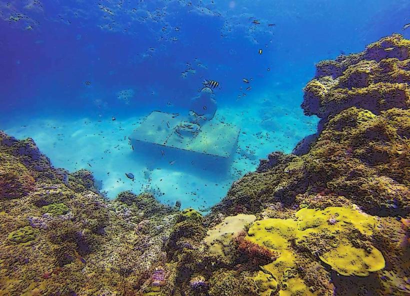 Petit Martinique Marine Park