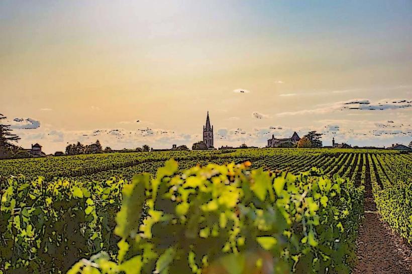 Saint Emilion Wine Region