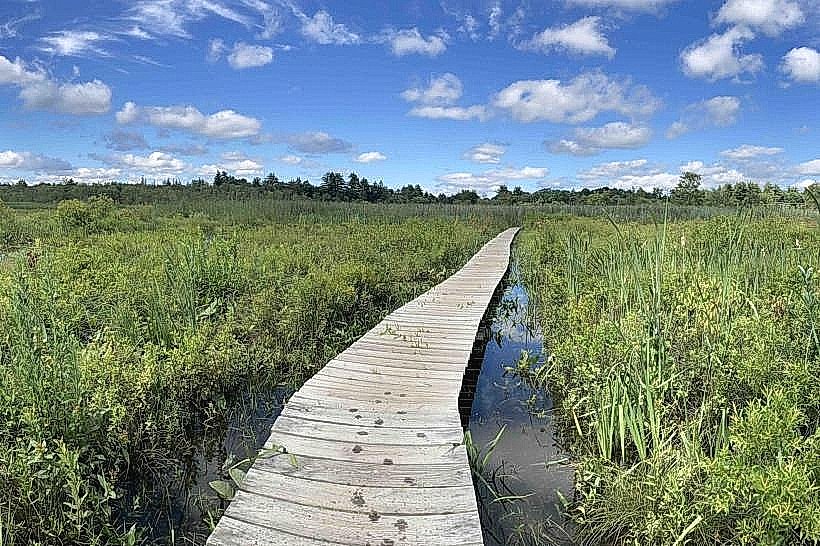 White Memorial Conservation Center