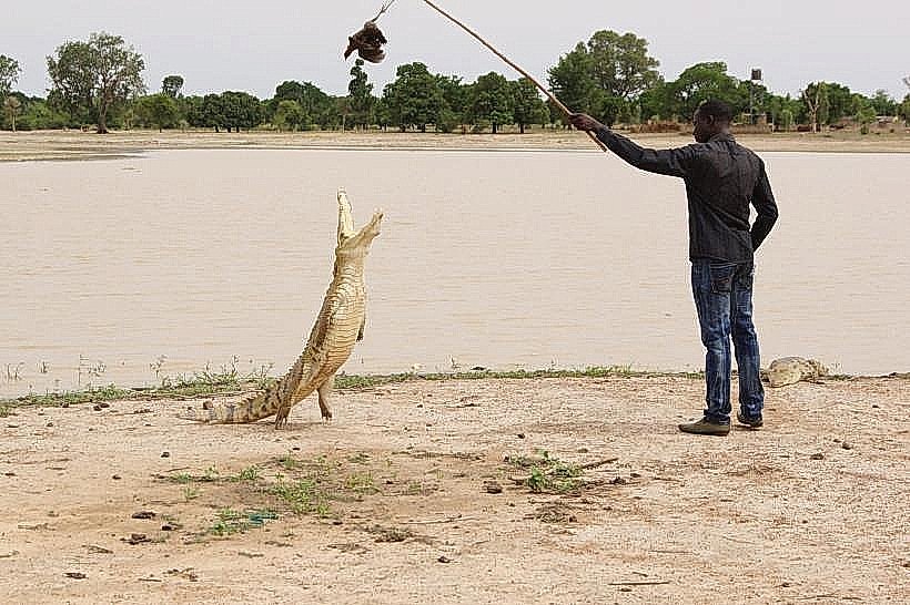 Ziniaré Crocodile Farm