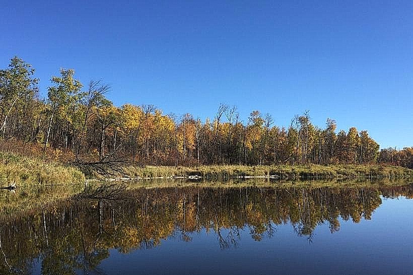 Lake Metigoshe State Park