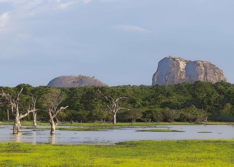 Elephant Rock