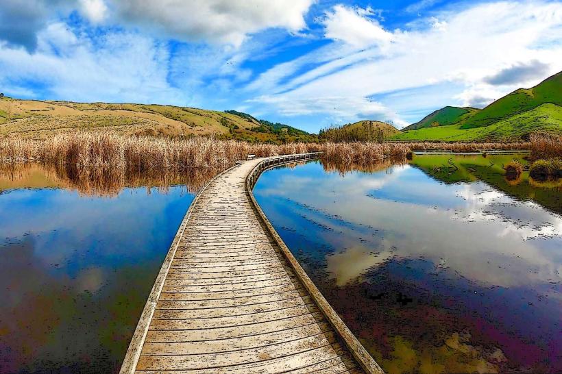 Pekapeka Wetlands