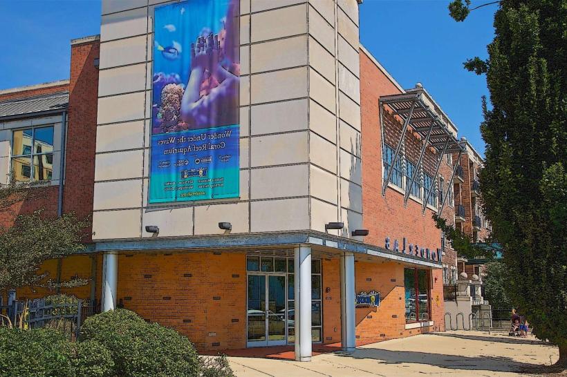 WonderLab Museum of Science, Health & Technology