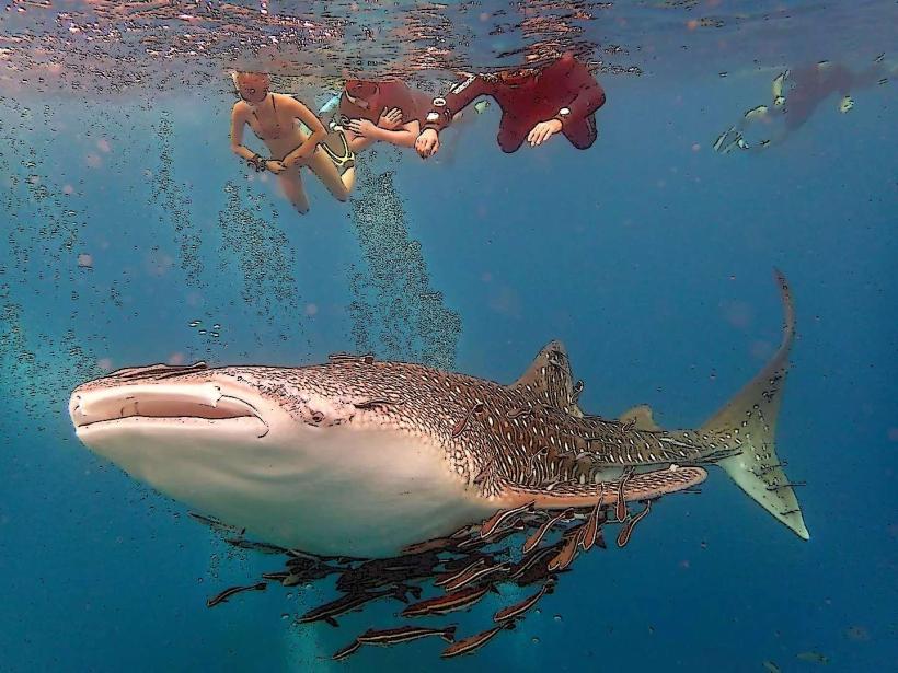 Chumphon Pinnacle