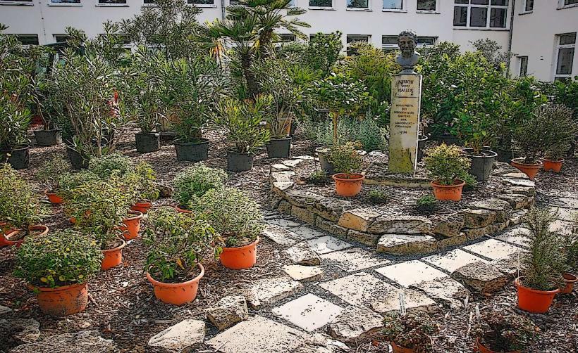 Ancien jardin botanique