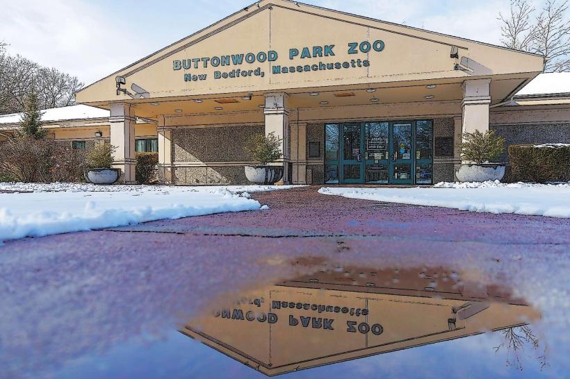 Buttonwood Park Zoo