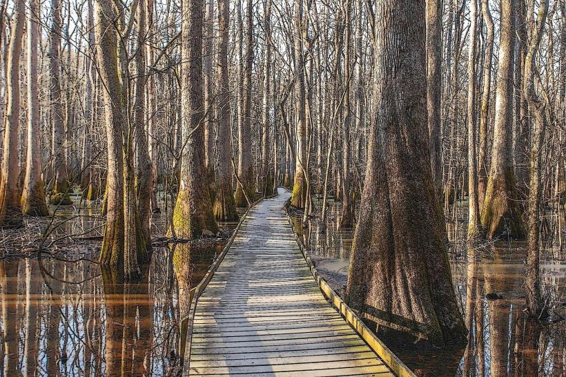 Congaree National Park