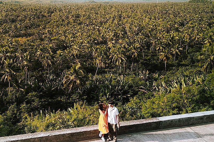 Coconut Plantation View Point