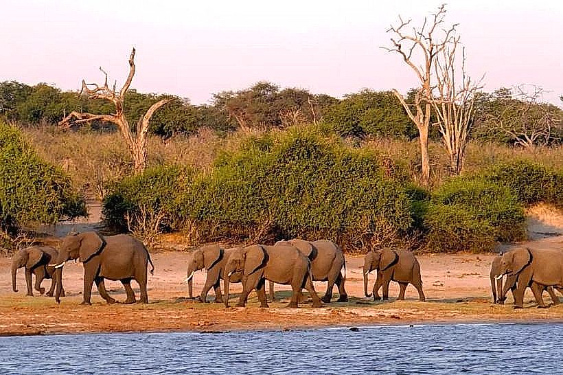 Jwaneng Nature Reserve